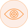 Focus Icon